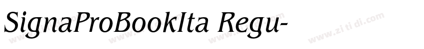 SignaProBookIta Regu字体转换